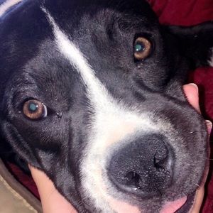 Meet your Posher, Marlene